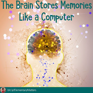 Brain myths: Fact or Fiction? Science has learned a lot about the brain, how many of these do you think are true?