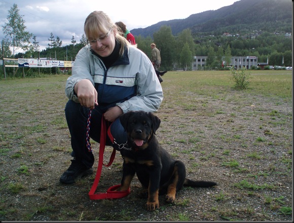 forskjellig 014