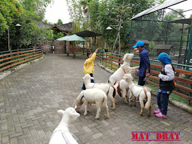 Bercuti Bandung Floating Market Kota Mini Lembang