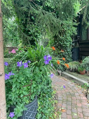 Flowers in pots beside a path