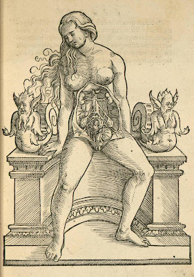 pregnant woman anatomical woodcut - Rueff 1554