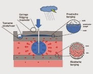 Afbeelding 1. Bodemfysische processen tijdens ondergrondse waterberging. pag. 2