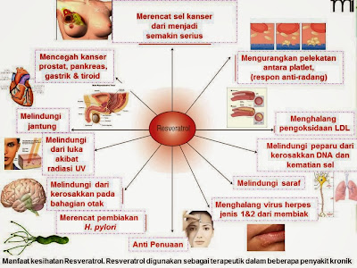 testimoni vivix