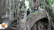 Quatchi in Bali
