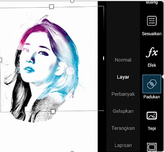 Cara Edit Foto Menjadi Lukisan Di PicsArt