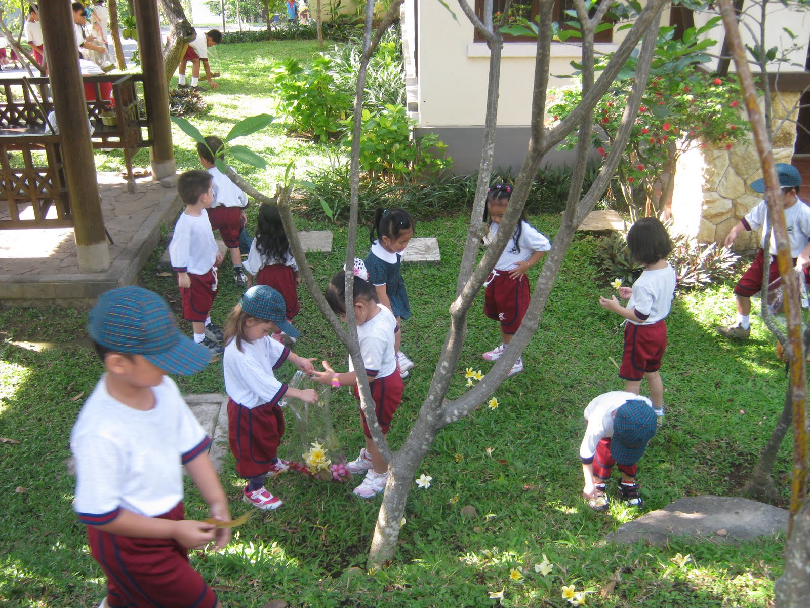 Sekolah Citra Berkat - Taman Dayu: Green, Clean & Healthy