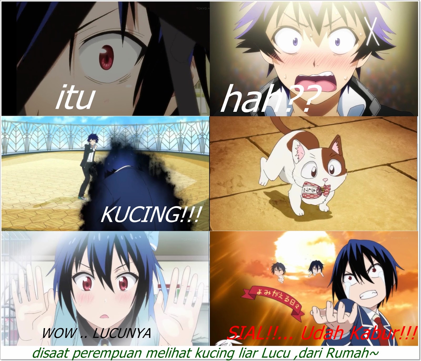 48 Meme Lucu Anime Keren Dan Terbaru Kumpulan Gambar Meme Lucu