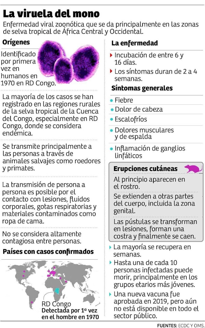 Honduras tem testes de PCR para detectar varíola dos macacos - monkeypox