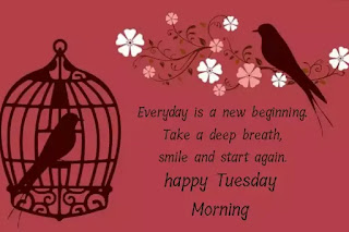 Good morning happy Tuesday