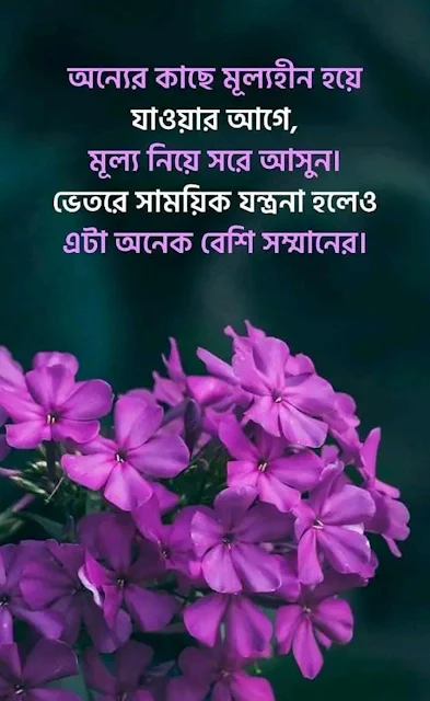 Love Shayari in Bengali language