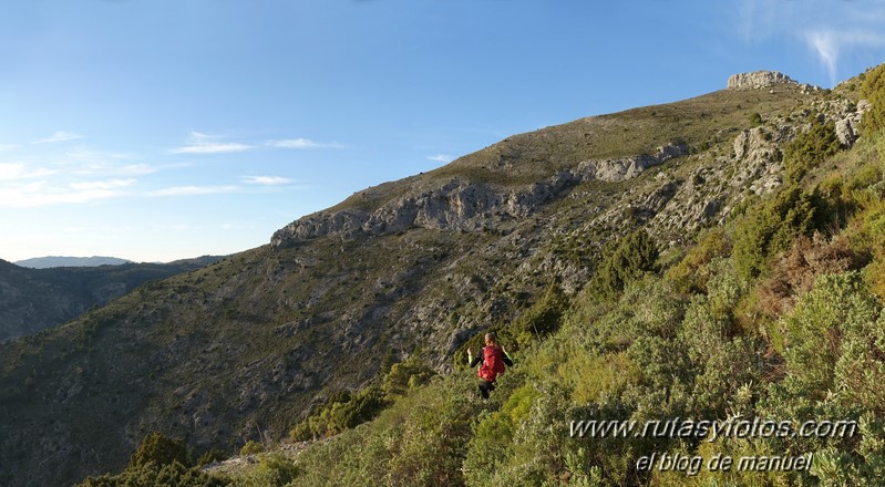 Alcazaba - Torrecilla - Pinsapar de la Yedra desde la Majá de Paco Aguera