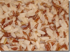 rice marseillette 1_1