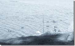 DSCF0010