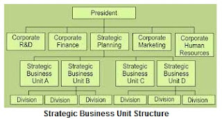 Strategic Business Unit Structure