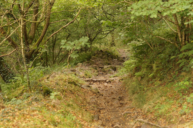 the four waterfalls trail Ystradfellte brecon beacons