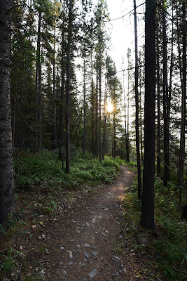 Pathway along Great Trail Alberta.