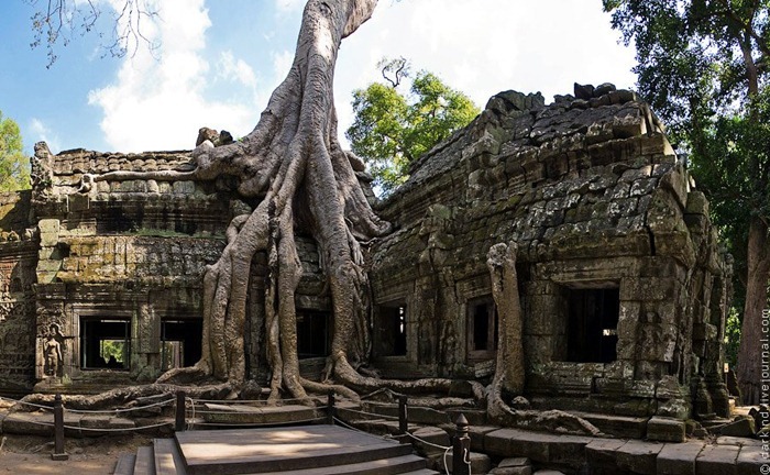 ta-prohm12 ta-prohm12