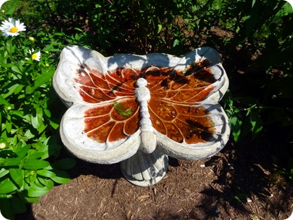 butterfly bird bath