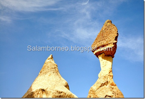 DSC_0831_Fotor
