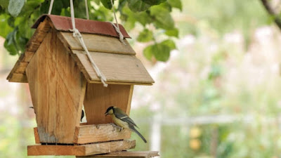 Cómo hacer residencia para pajaros de madera Fácil paso a paso