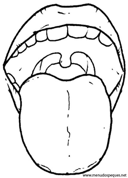 partes del cuerpo humano. El cuerpo humano: La boca