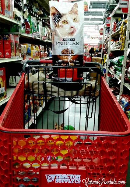 Tractor Supply cart with Purina Pro Plan Cat food. 