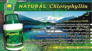 Gambar Natural Chlorophyllin Nasa