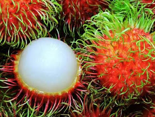 19 Manfaat Buah Rambutan Bagi Kesehatan Dan Kecantikan