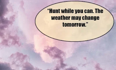 weather quotes - quotes about weather