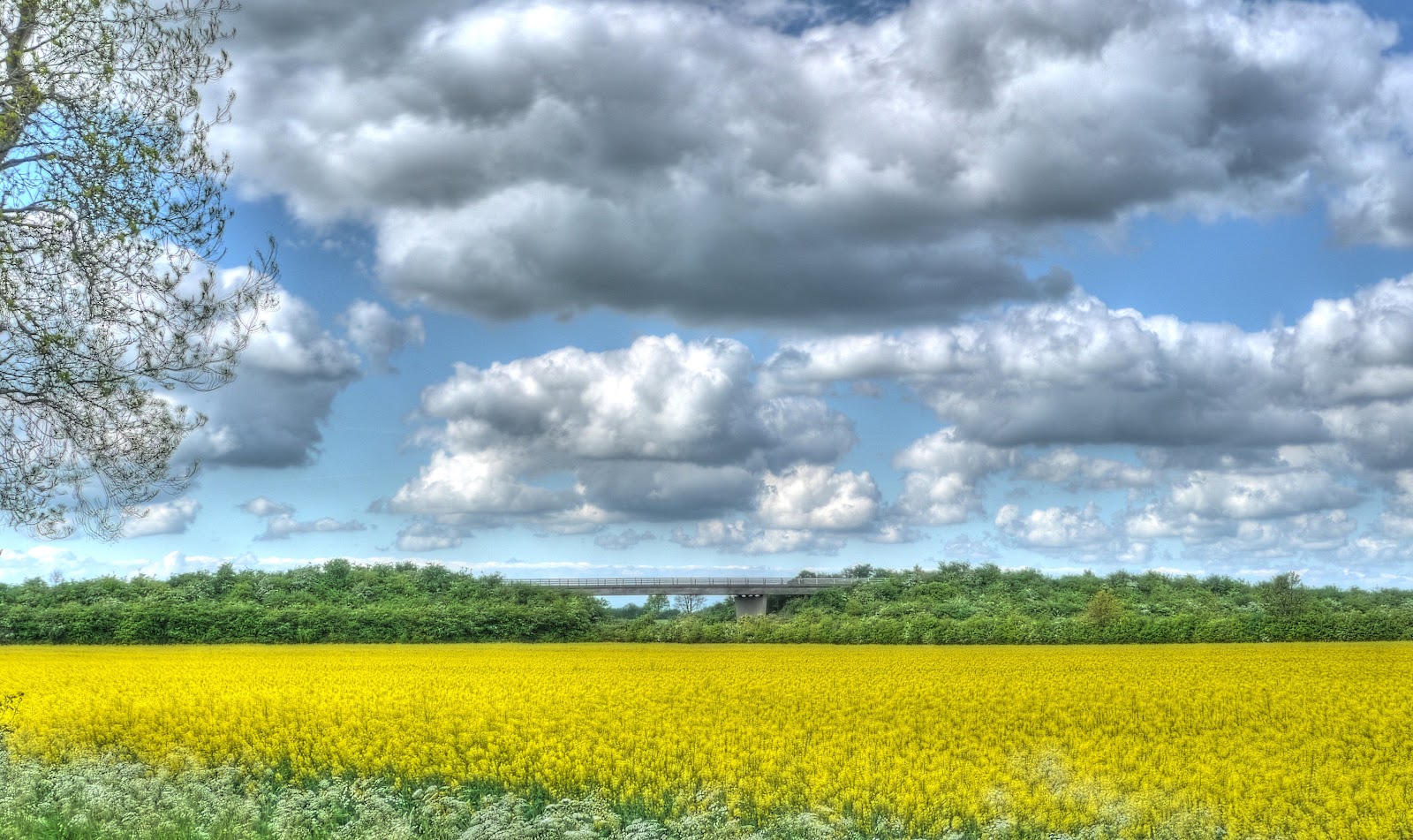 P1100040_1_2_3_4_5_6_tonemapped.jpg