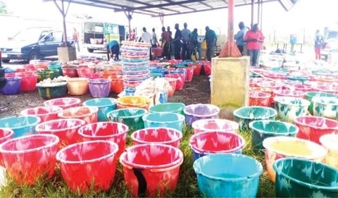 Massive Harvest of Fish in Goodluck Jonathan's Farm as Ex-President Hits Big Money in Abuja (Photo)