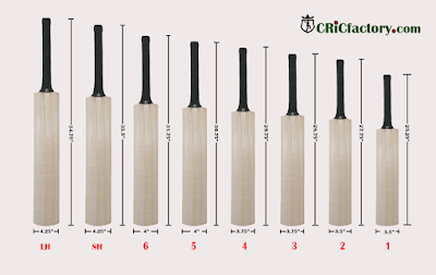 Size of Cricket bat
