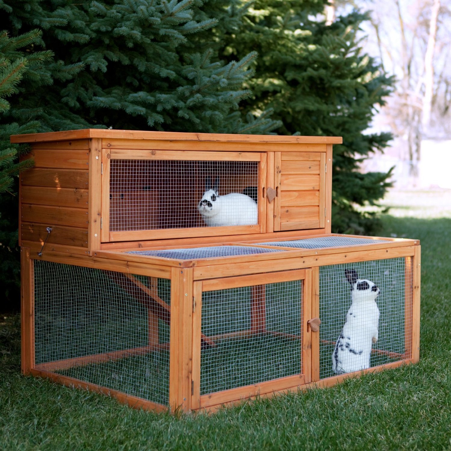 ... in the household and with the bunny comes the need for a rabbit hutch