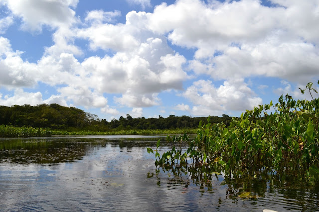 Guyane, Synnamary, balade canoë, Pripri de Yiyi, Sepenguy, mise a l'eau, maison de la nature