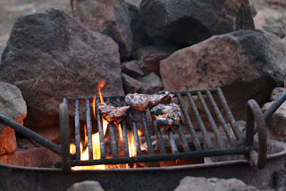 grilling chicken firepit camping