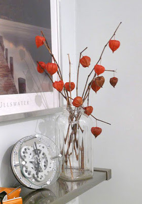 Dried Chinese Lanterns in an old glass jar