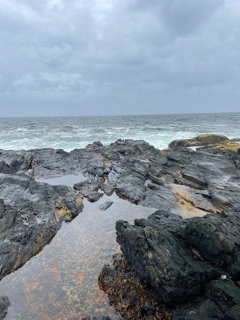 A view of the ocean from on top of a large rock formation which is covered in a large(ish) collection of water. The water in the rocks has smaller pebbles in it and other debris.