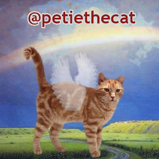 @petiethecat