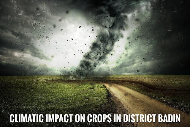 Climatic Impact on crops in district Badin.