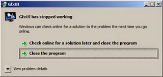 GfxUI has stopped working Windows Server 2008