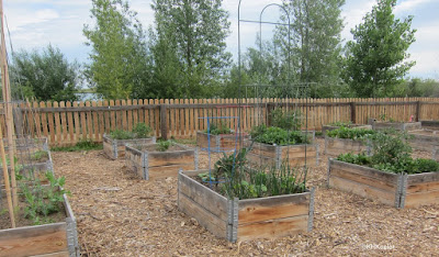 Community Garden, High Plains Environmental Center, Loveland, CO