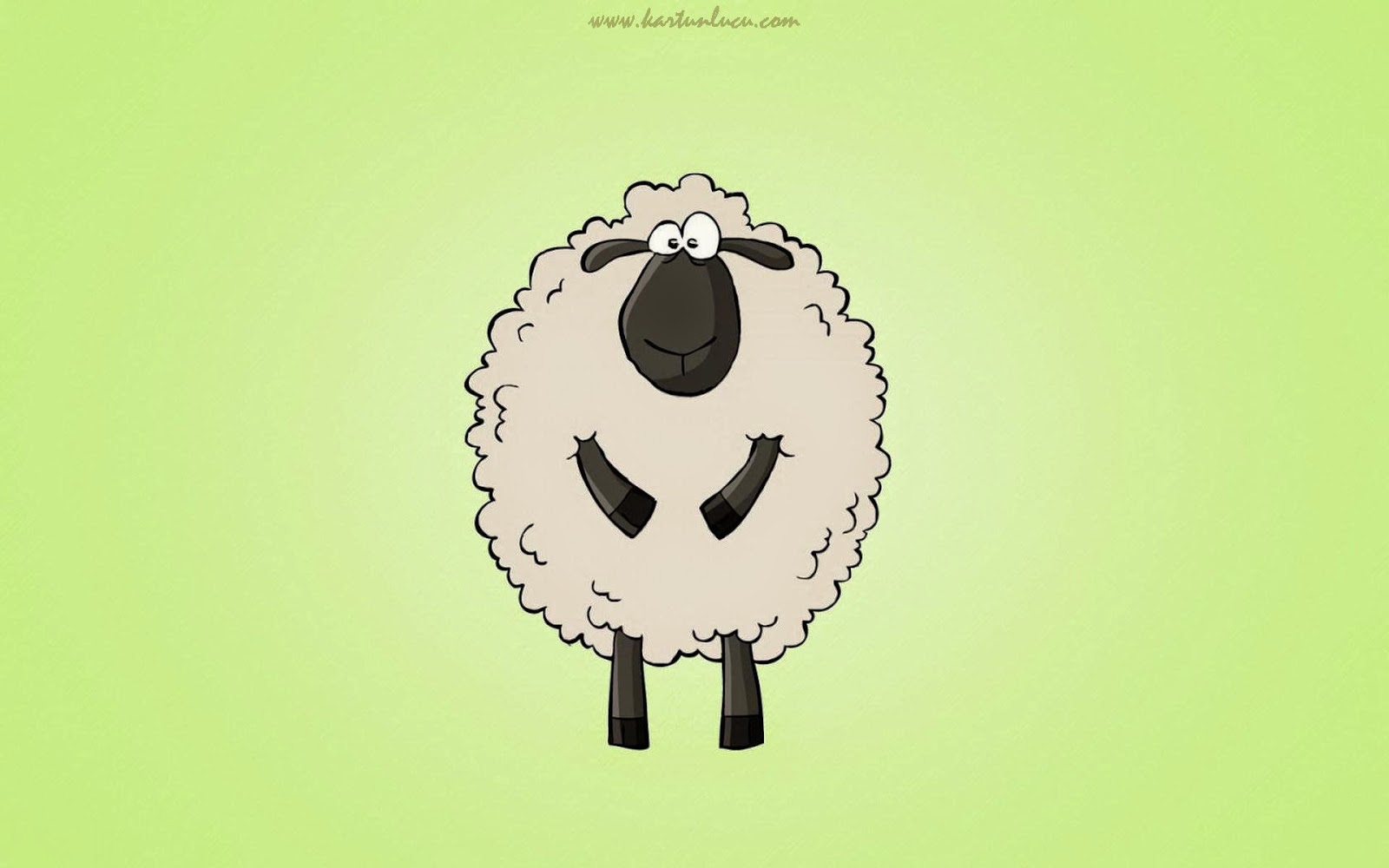 WALLPAPER KARTUN SHAUN THE SHEEP Gambar Kartun Lucu Dan