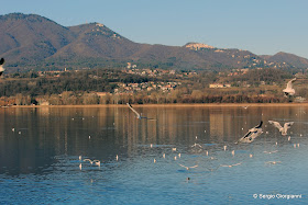 lago di varese