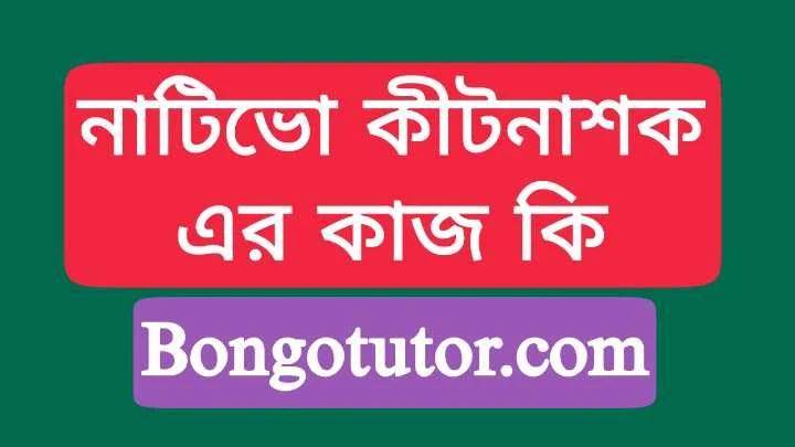 নাটিভো কীটনাশক এর কাজ সম্পর্কে বিস্তারিত জানতে পারবেন