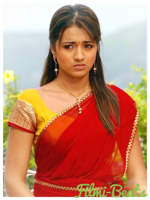 Trisha Krishnan Wallpaper & Biography