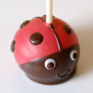 Birthday Cake Pops on Bella Grace Party Designs  Ladybug Treats And Favor Ideas