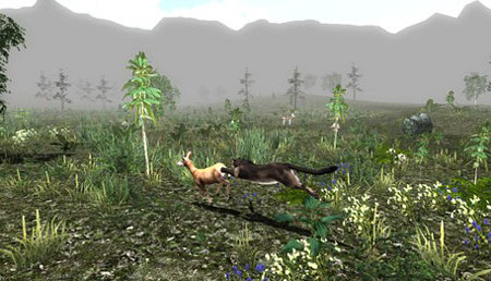 Untamed Life Of A Cougar PC Full Version