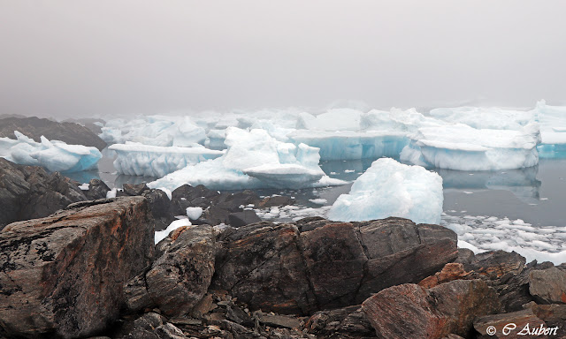 Savissivik, cimetière d'icebergs, météorite,Groenland