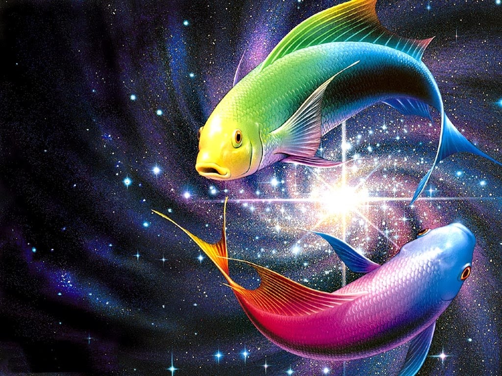 WALLPAPER IKAN BERWARNA Gambar Kartun Lucu Dan Wallpaper Keren