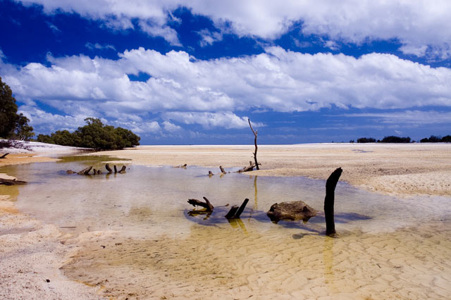 Fraser Island